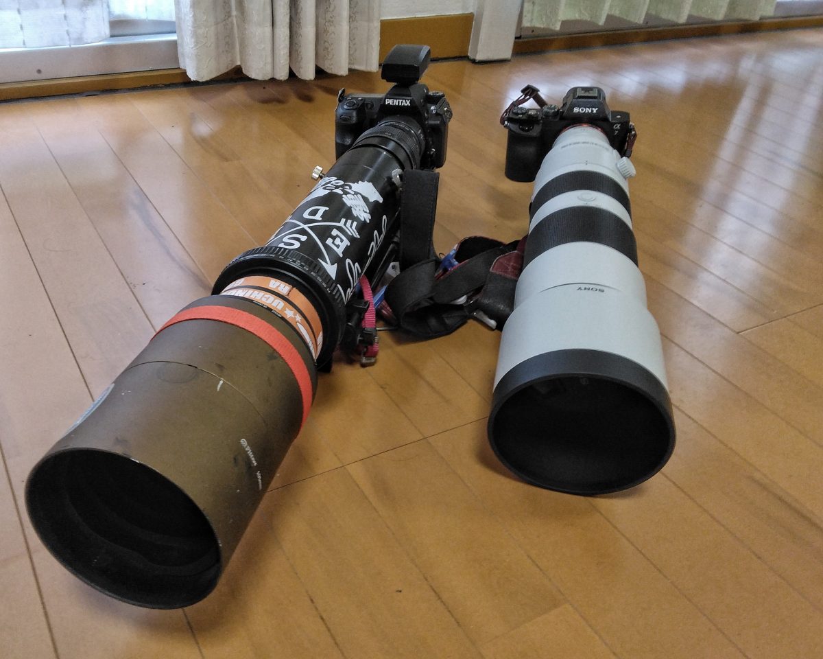 私の野鳥撮影機材、ここまでくると、ちょっとヤバいかも