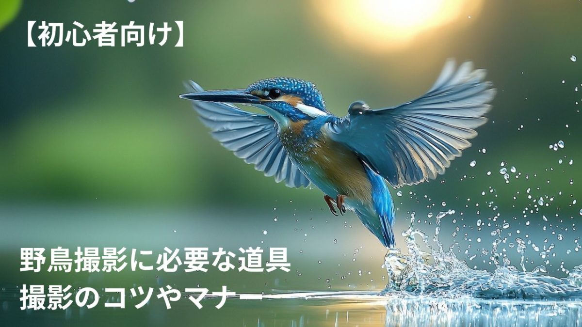 シニアの野鳥撮影、「くぅんくぅん」と「グスングスン」作戦について