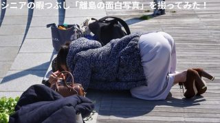 シニアの暇つぶし「離島の面白写真」を撮ってみた！