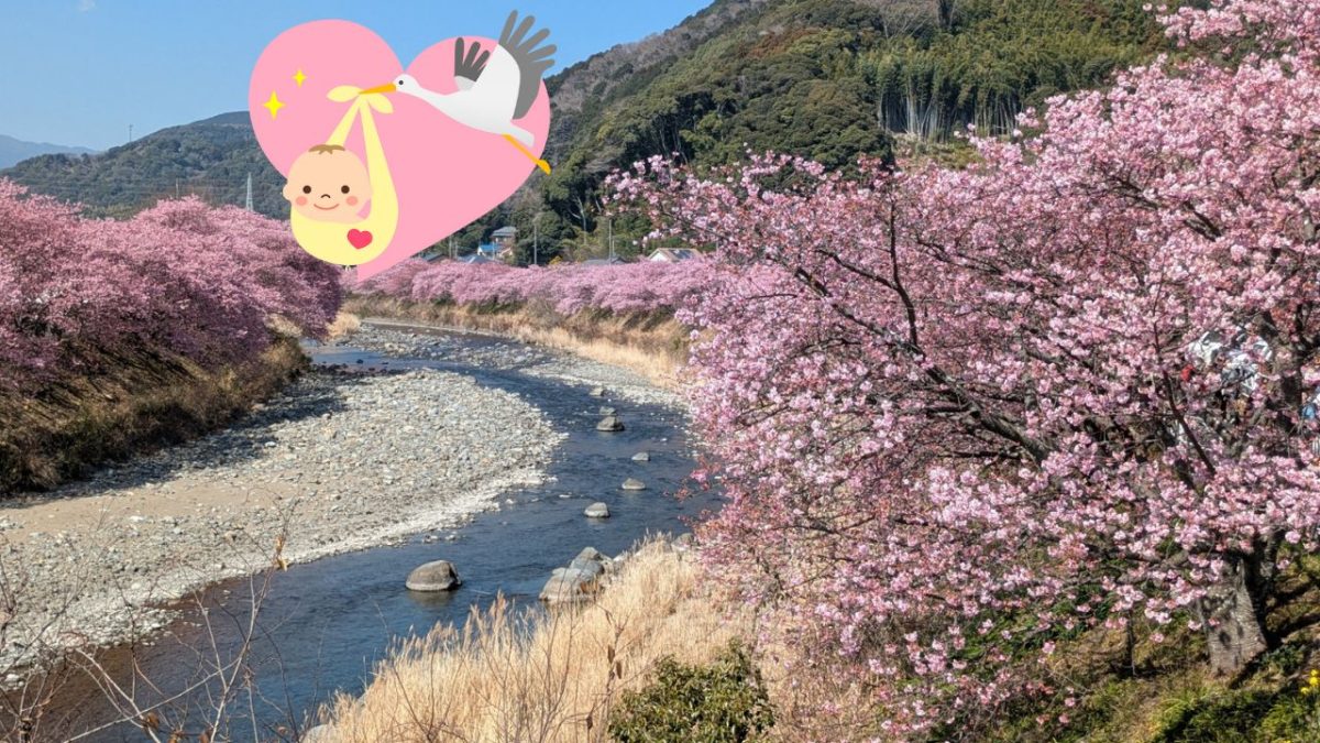 新規にサイトを立てて約2週間では若すぎる?